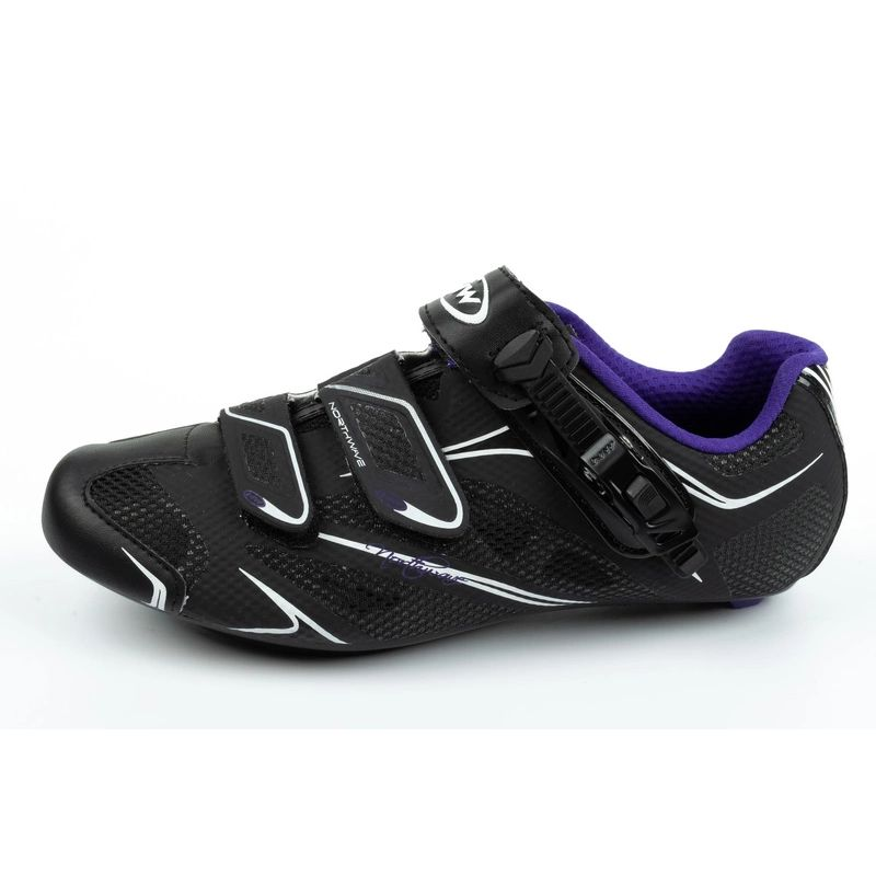 77553100