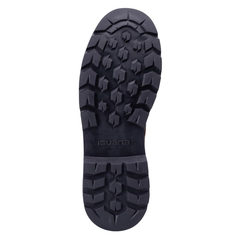 77533849