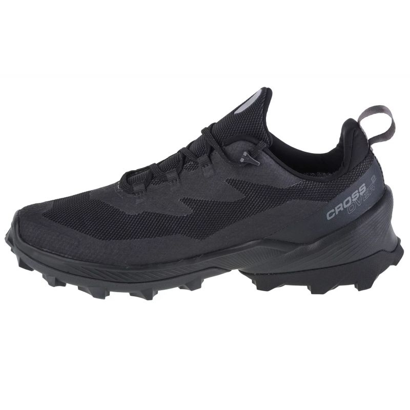77559567