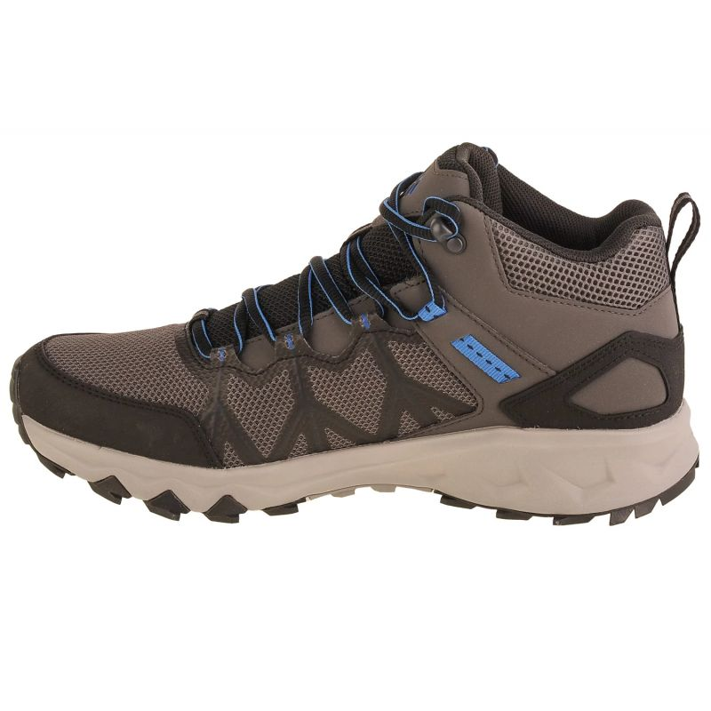 77559589