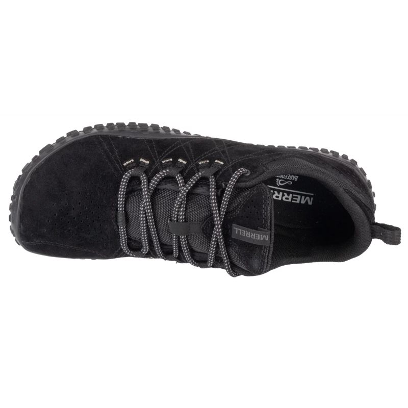 77531555