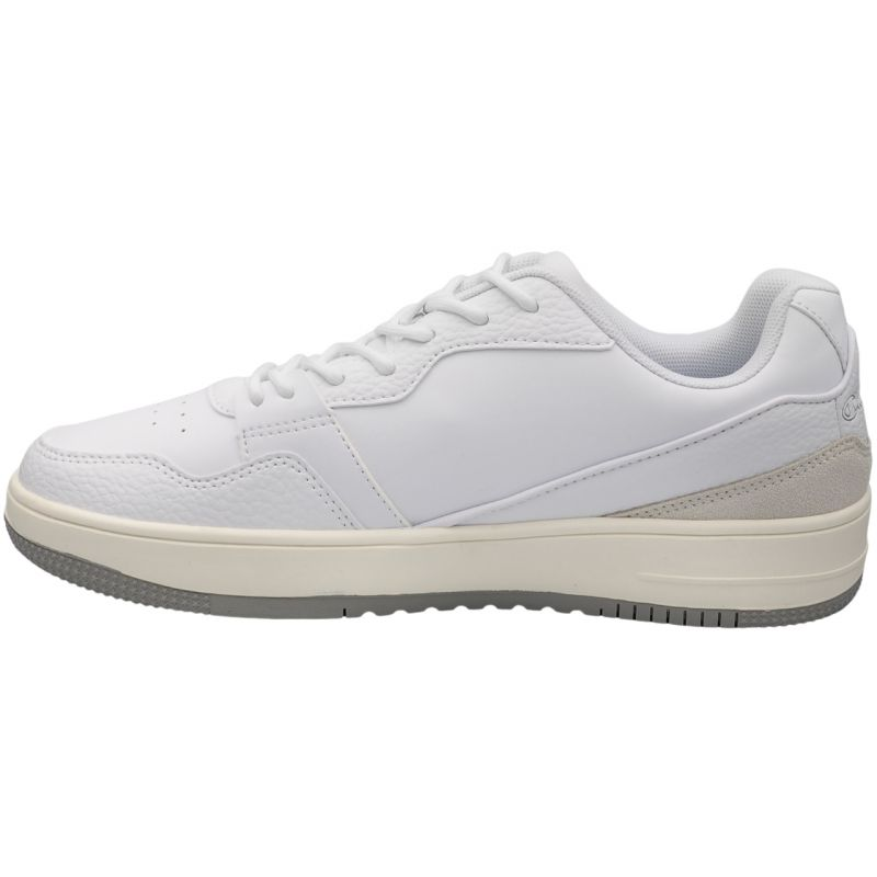 77563565