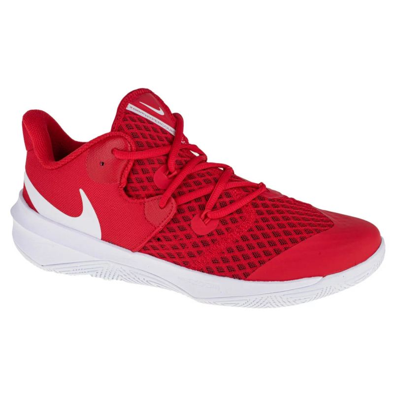 77525619