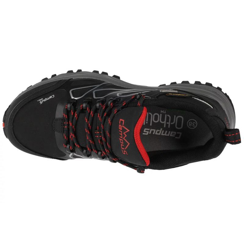 77534129