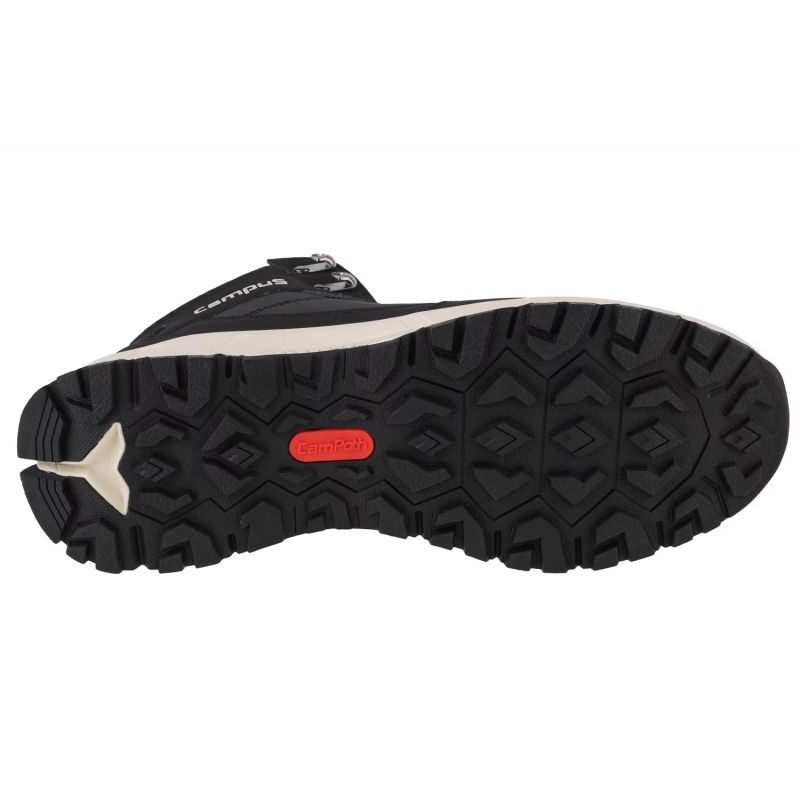 77534351