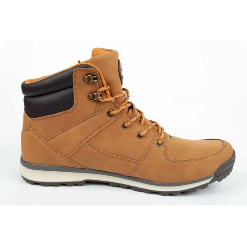 77558447