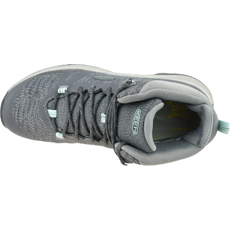 77561682