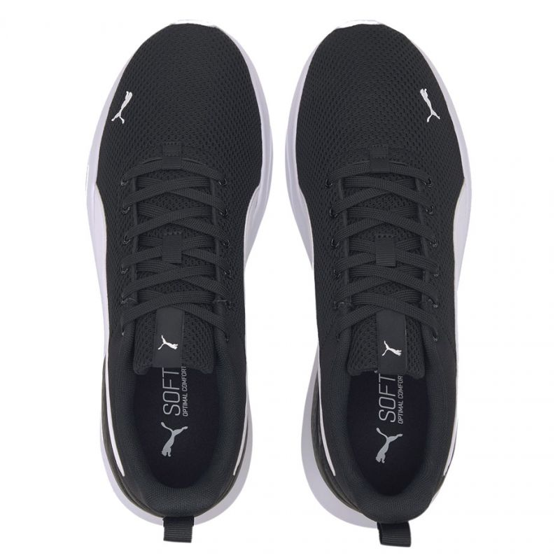 77549389