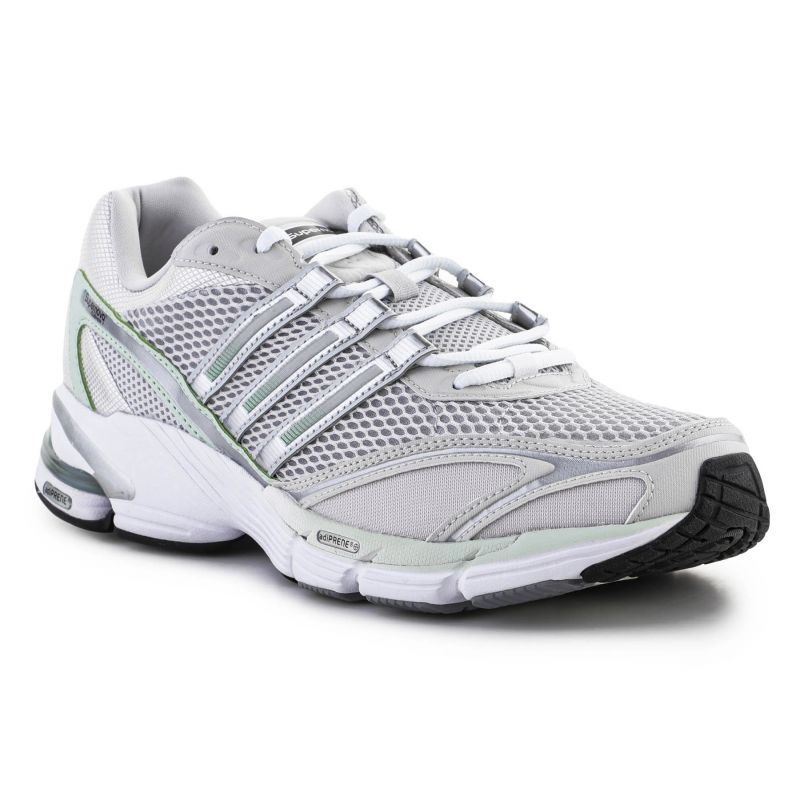 77536104