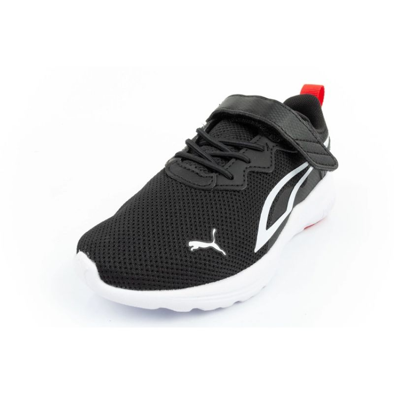 77552729