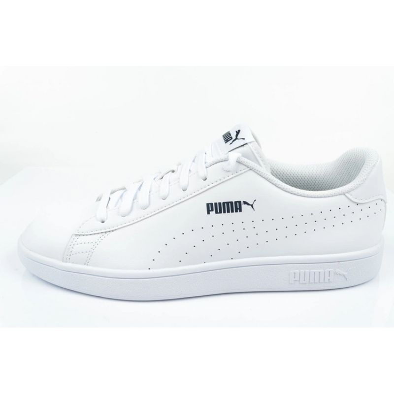 77569956